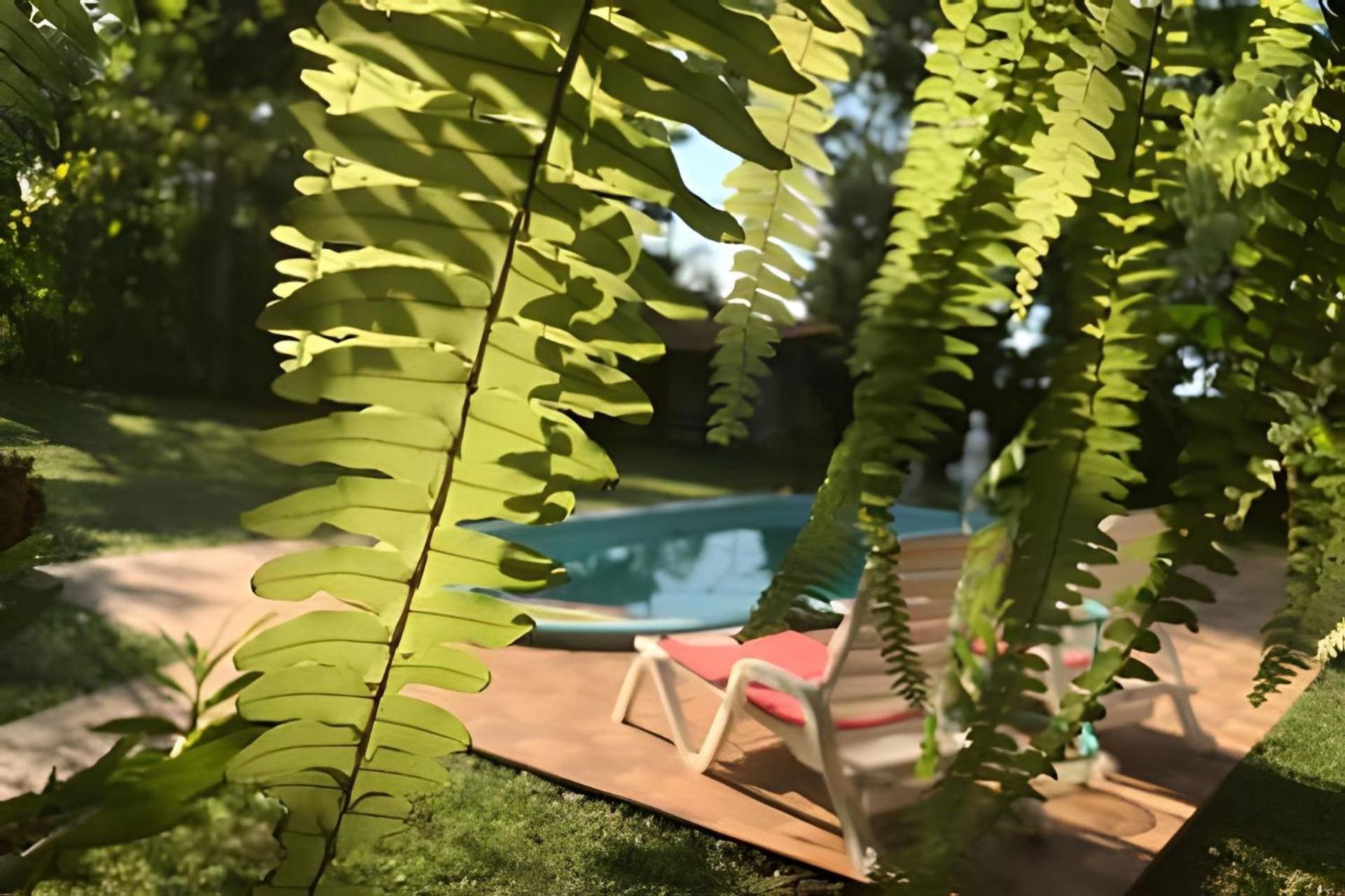 Cabanas Con Piscina En La Entrada De โอเบรา ภายนอก รูปภาพ